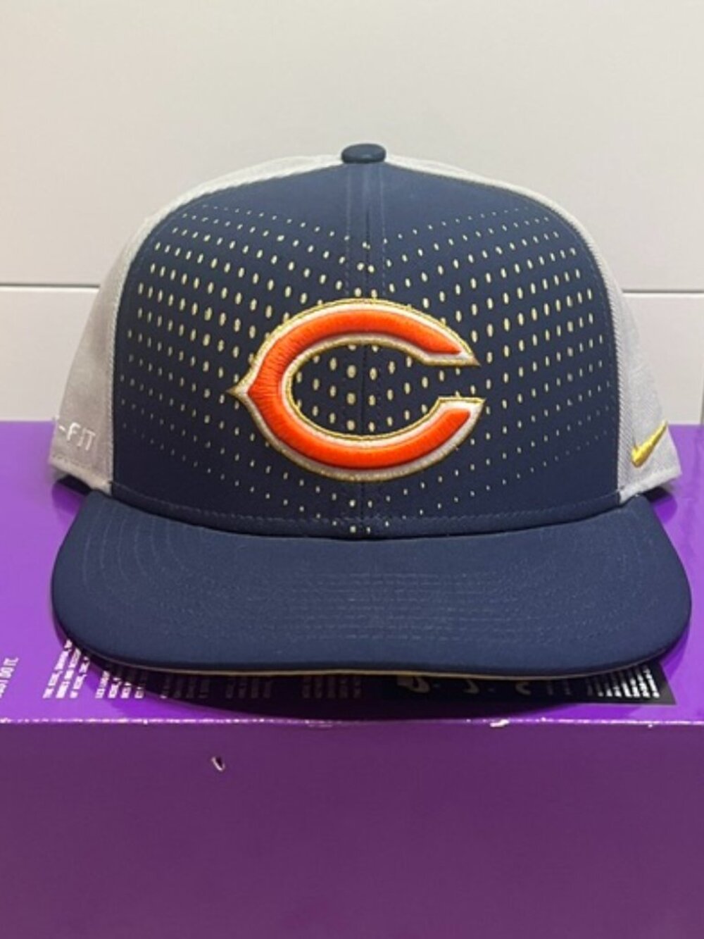 Chicago Bears Nike Laser Pulse True Dri Fit Snapback Cap Hat New NWOT NFL OSFM